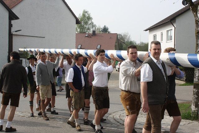 Maibaum 2013